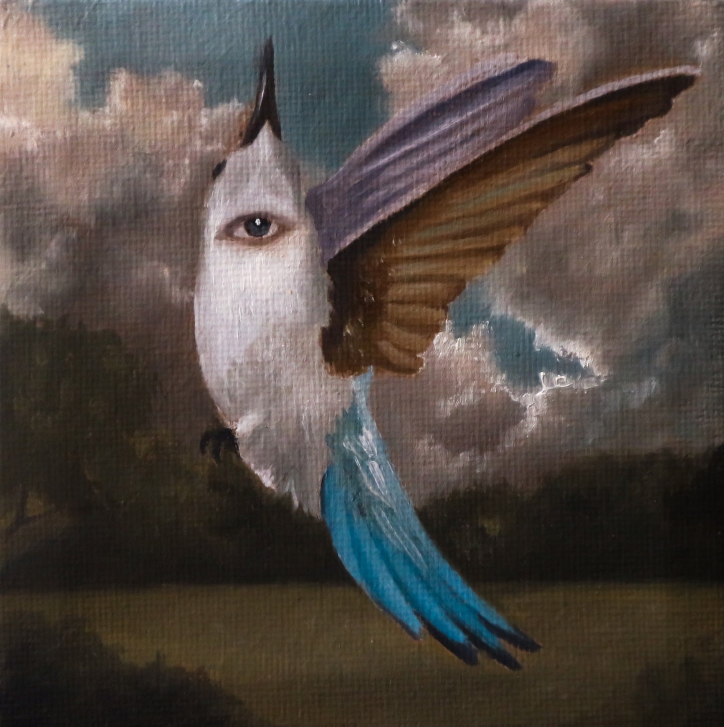 Colibrì - Cabinet Painting