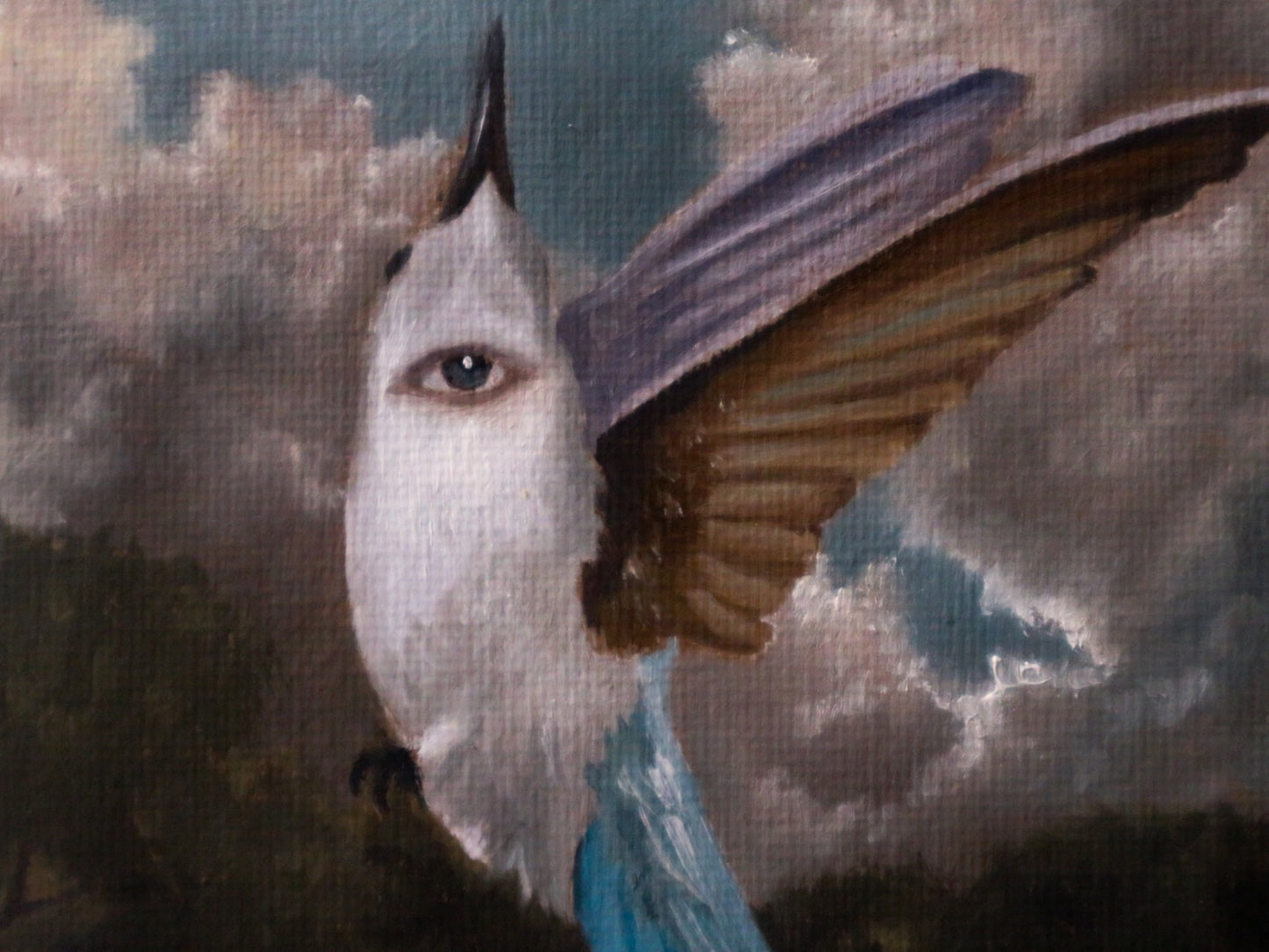 Colibrì - Cabinet Painting