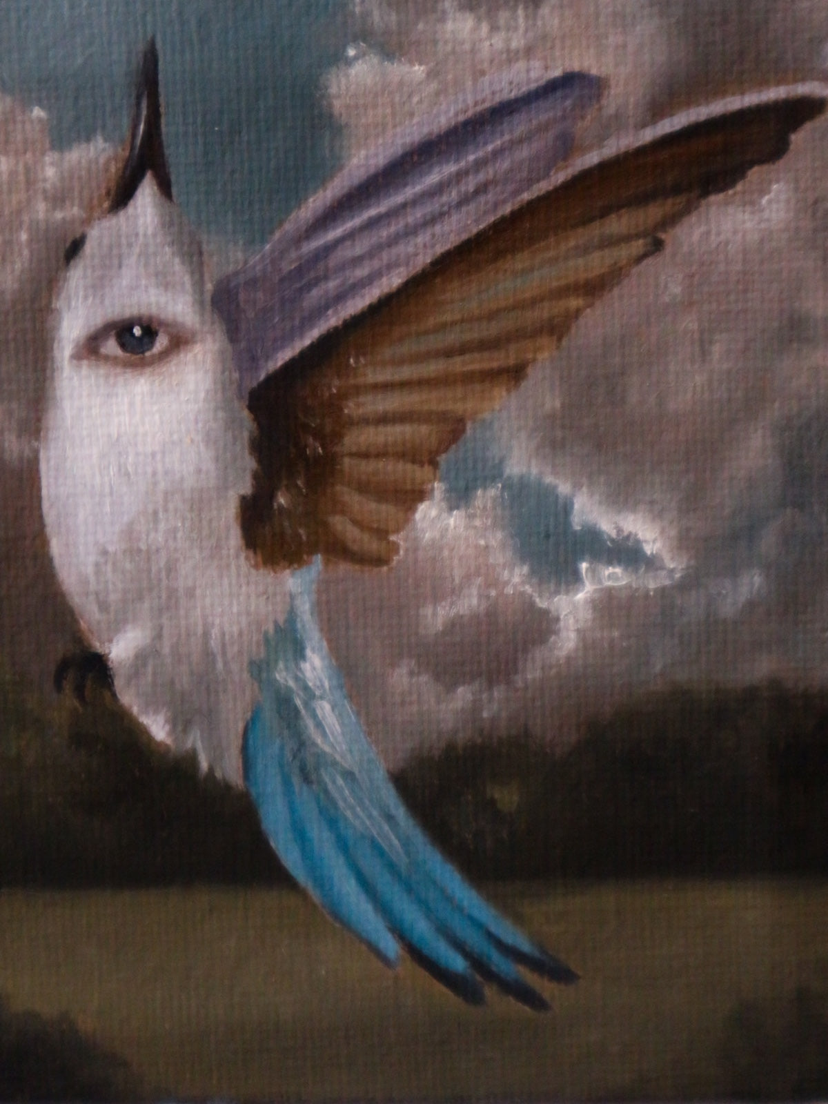 Colibrì - Cabinet Painting