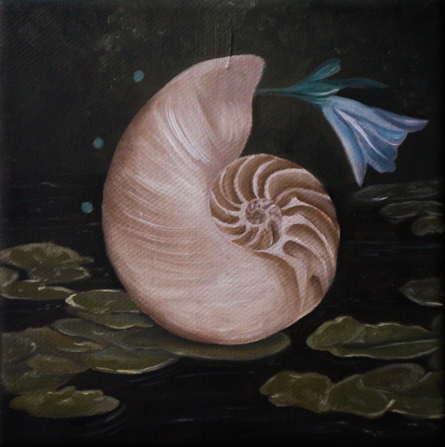 Conchiglia - Cabinet Painting