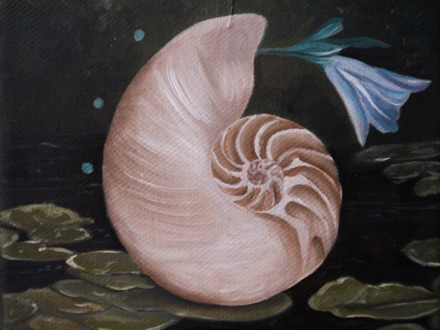 Conchiglia - Cabinet Painting