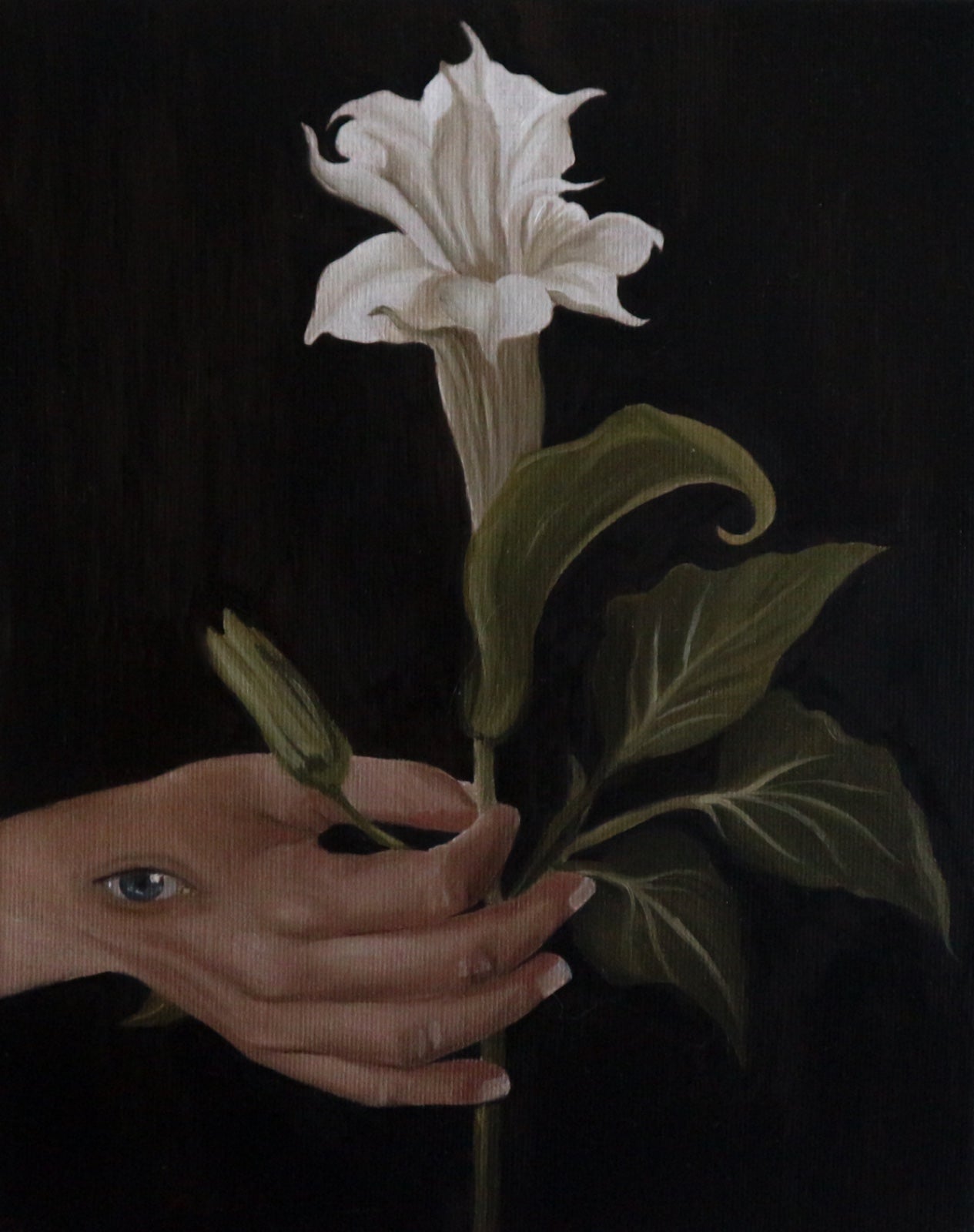 Datura - Cabinet Painting