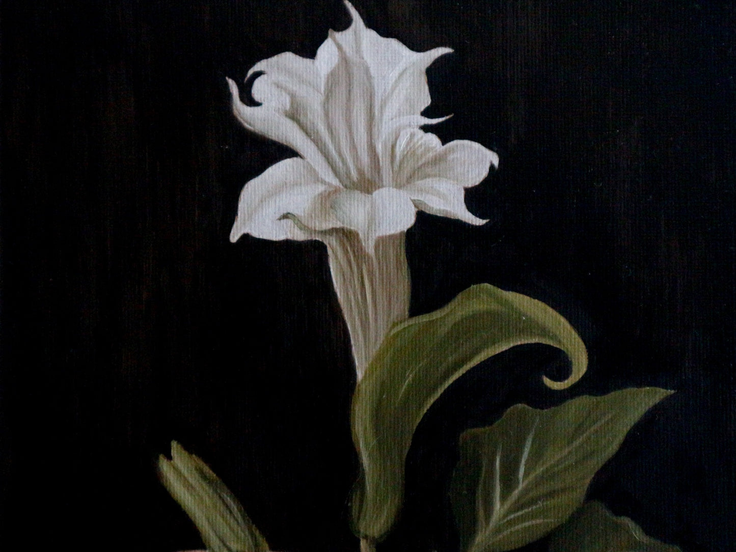 Datura - Cabinet Painting