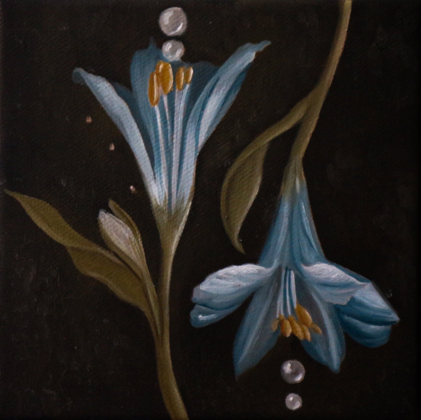Fiori fratelli - Cabinet Painting