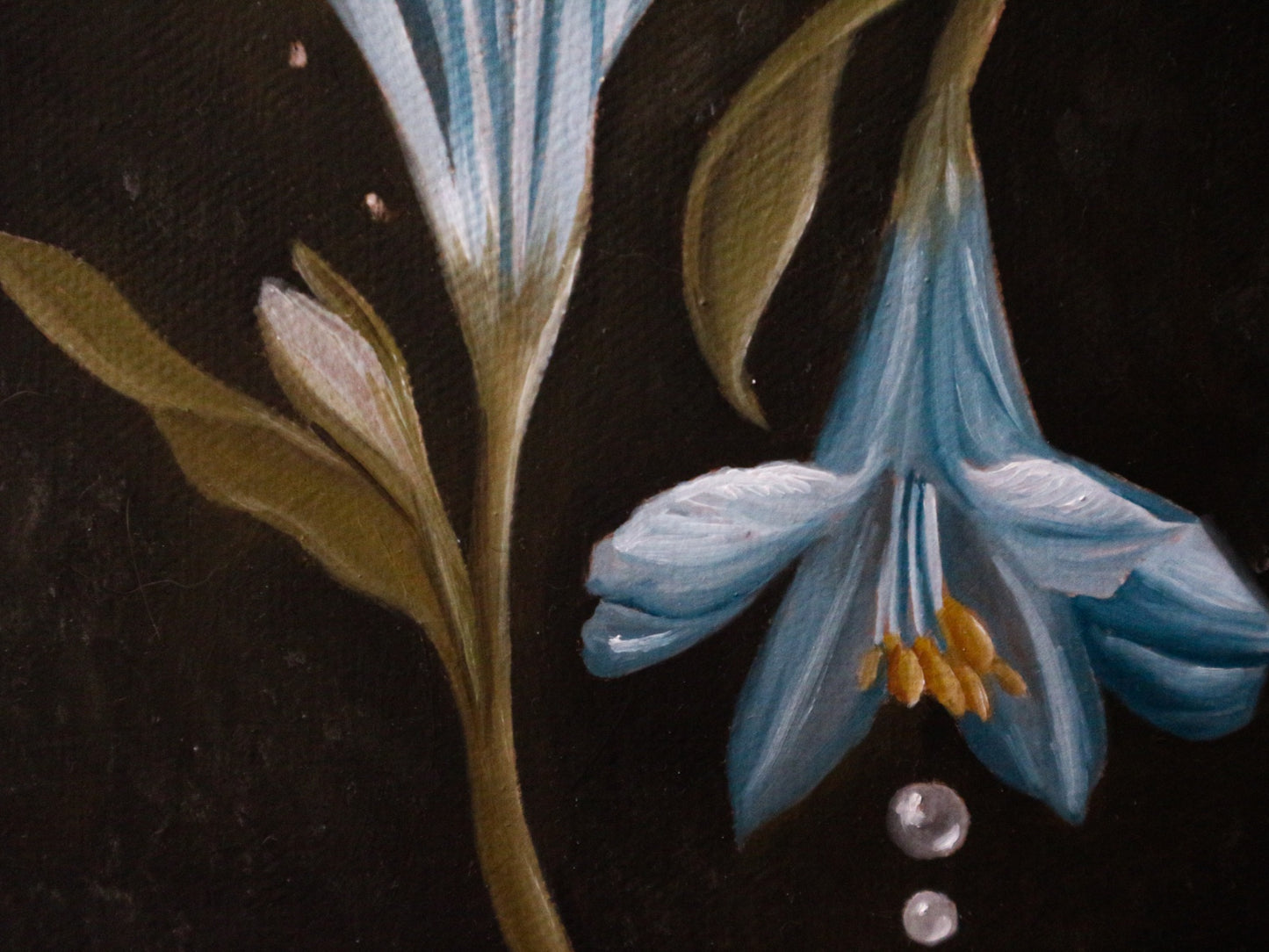 Fiori fratelli - Cabinet Painting