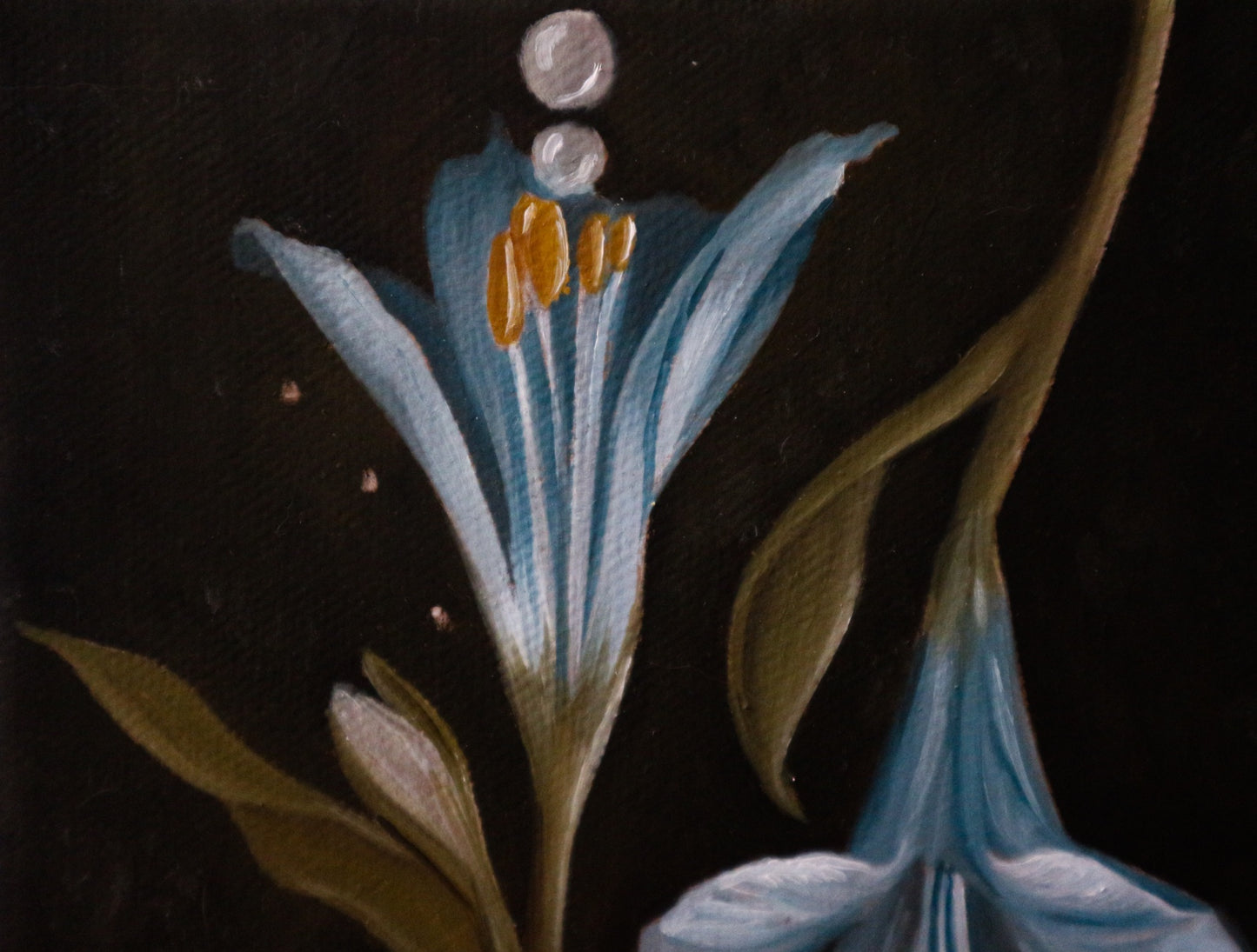 Fiori fratelli - Cabinet Painting